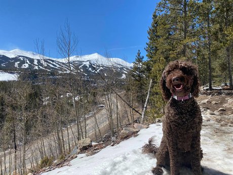 Bumper Ann pornstar hot images