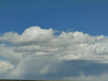 7 Cats nice star photo