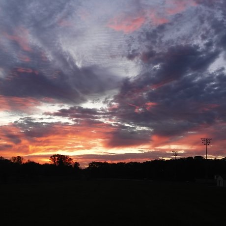 Oakland Lavender nudes pornstar pictures