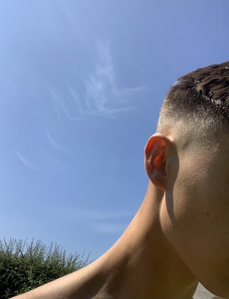 Tyler Rose adult model pictures