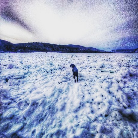 Old Man Willow pornstar free photo