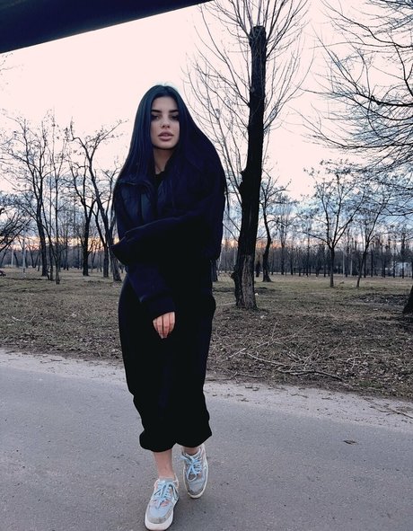 inspirekaya nice star galleries