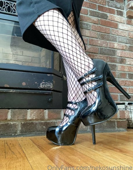 nekosunshine hot star picture