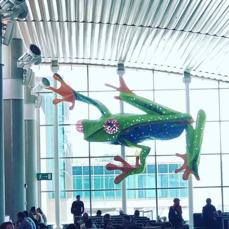 Hot life adult star pics