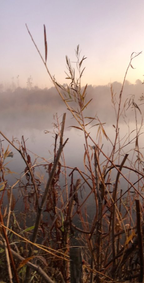 Guns and Ammo sexy actress archive