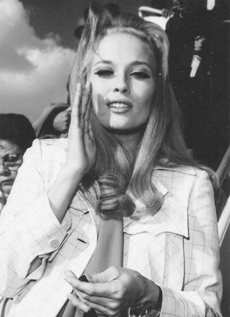 Faye Dunaway free pornstar gallery