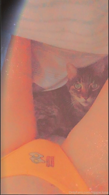 hippie luna best star img