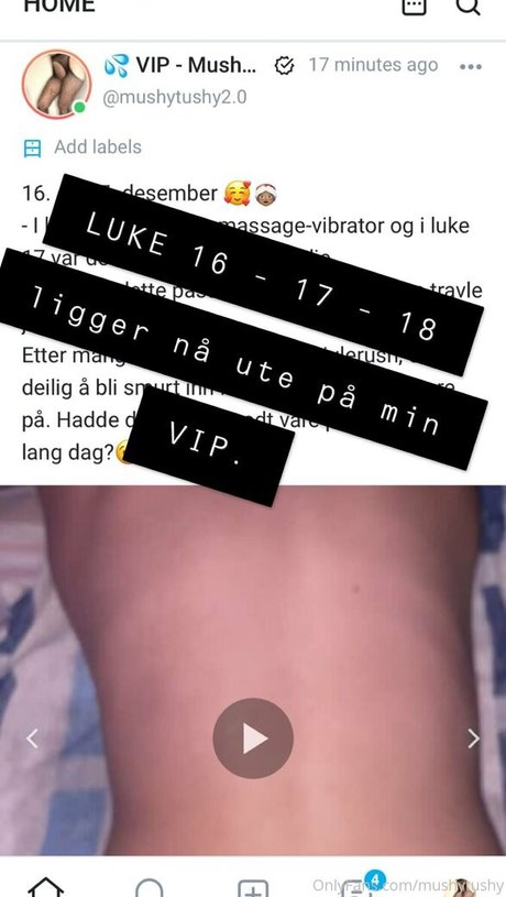 mushytushy star art photos