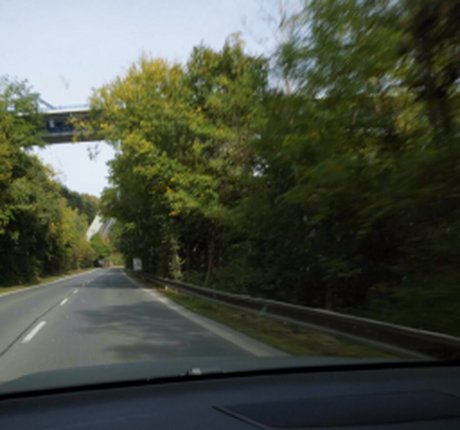 Nicole Rae model top picture