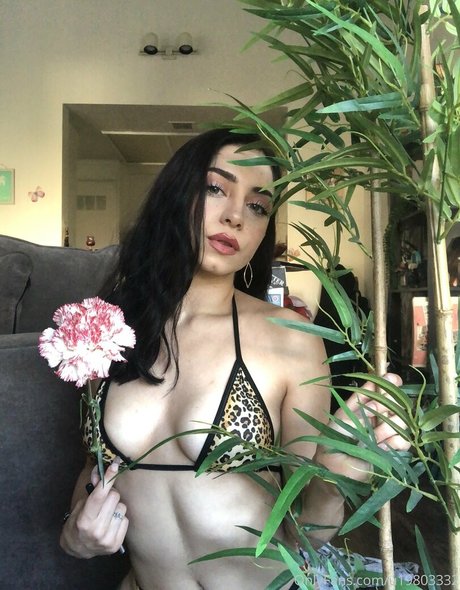 Sara Mariam star adult pictures