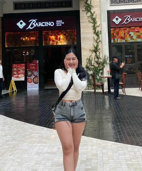 nininplays model hd picture