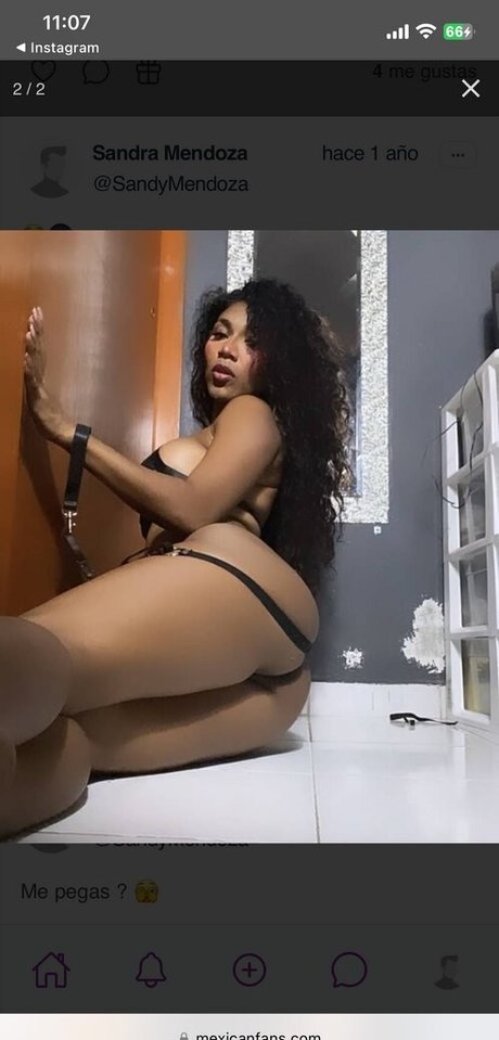 Sandy Mendoza porn star galleries