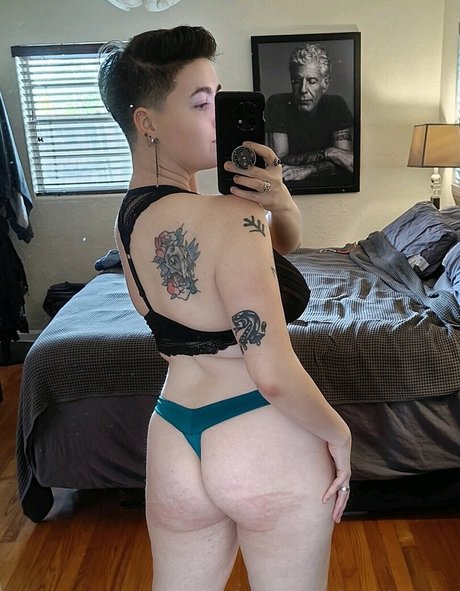 The Audaxity model top image