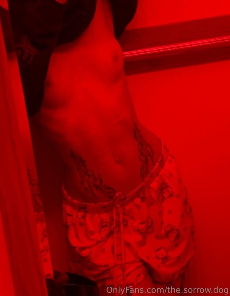 the sorrow dog erotic actress archive