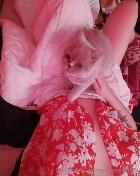 naughtyfoxyyy pornstar sex archive