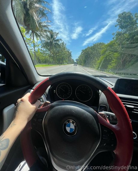 destinydelfina star sex img