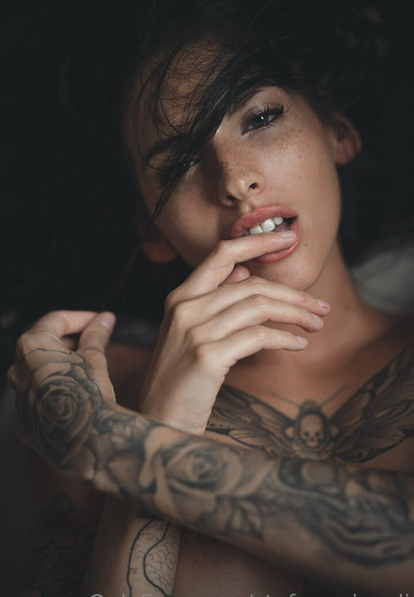 stefanogirardi star sex photos