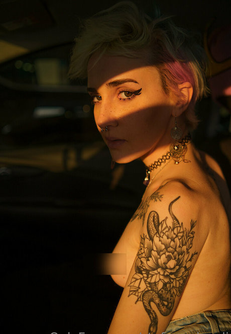 stefanogirardi star pornographic archive