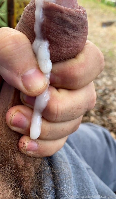 wild boar giant perfect pornstar archive