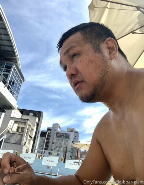 wild boar giant adult model images