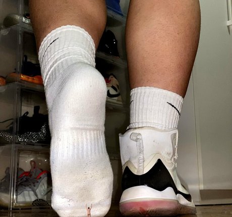 wild boar giant star adult pics