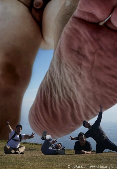 wild boar giant model hd pictures