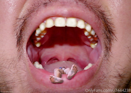 wild boar giant pornstar perfect photos