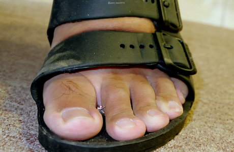 wild boar giant pornstar high quality pic