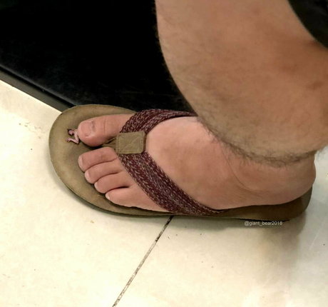 wild boar giant model xxx pictures