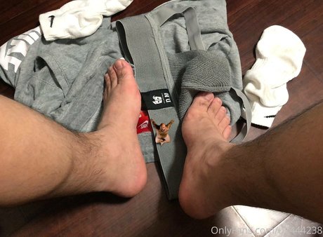 wild boar giant Profile pic