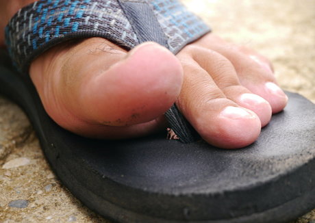 wild boar giant pornographic actress gallery