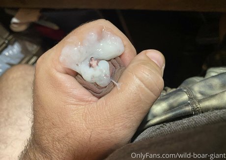 wild boar giant pornstar nude images