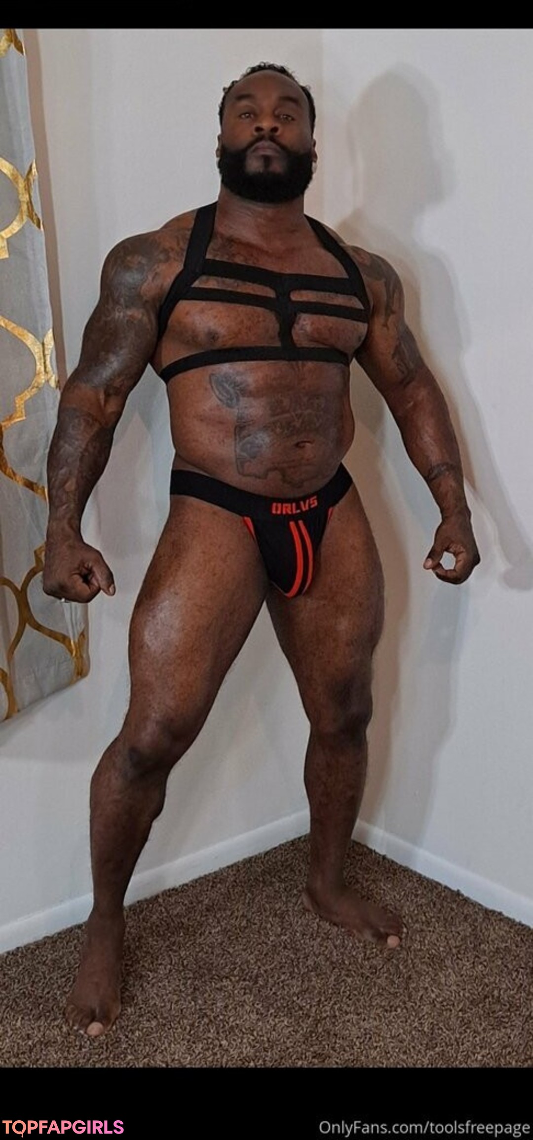 toolsfreepage star adult photo