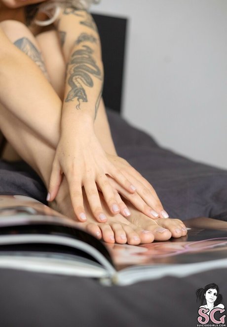 Gaja SG model free pic