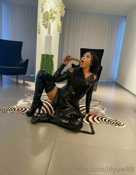 lilyuw88 star beautiful archive