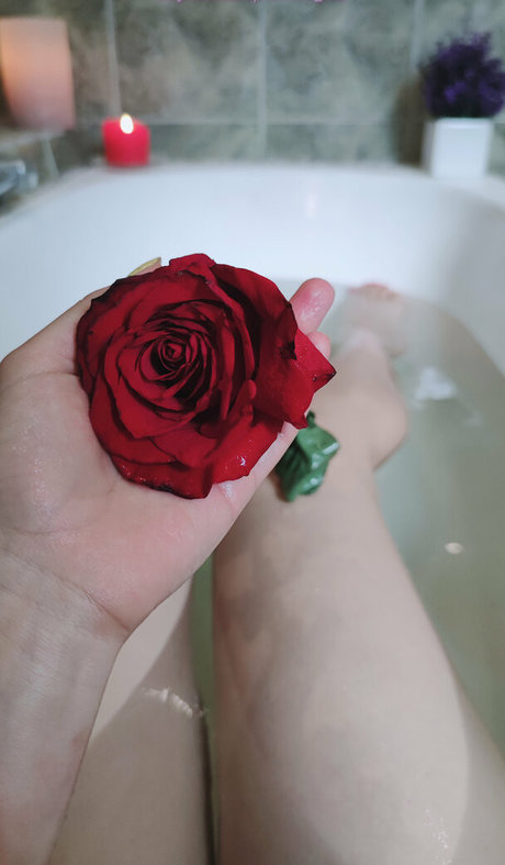 ashera cat pornstar hot pictures