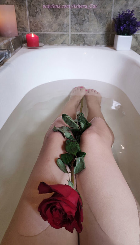 ashera cat model naked photo