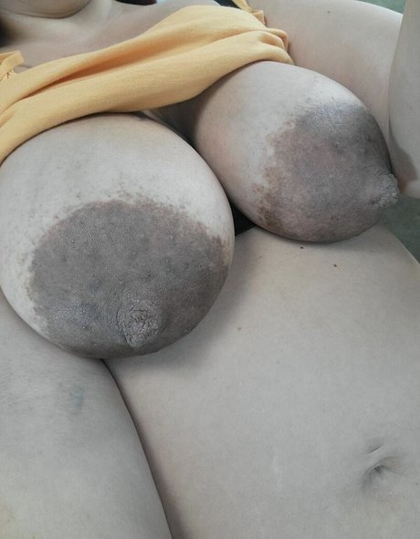 Chelle0069 model archive