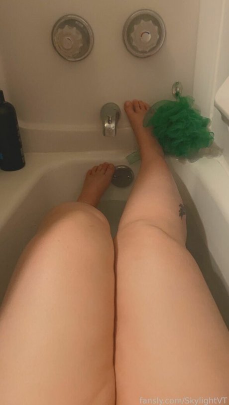 SkylightVT model best picture