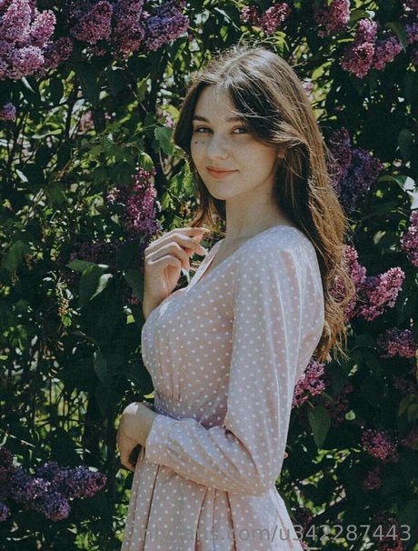 jessy shine star nude img