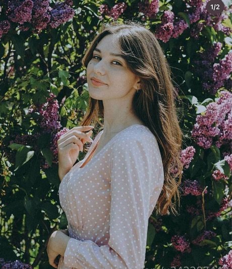 jessy shine free model pic