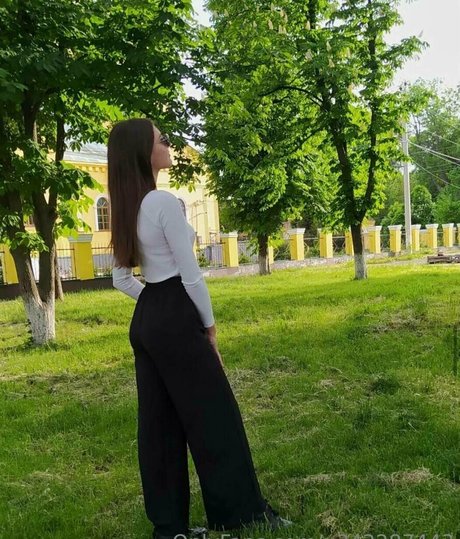 jessy shine top pornstar img