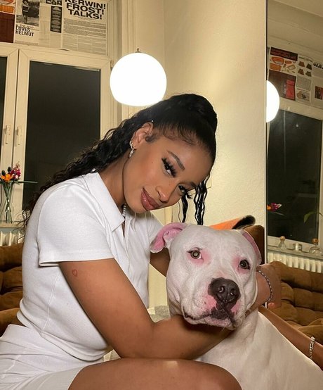 Capeverdian high quality star pictures