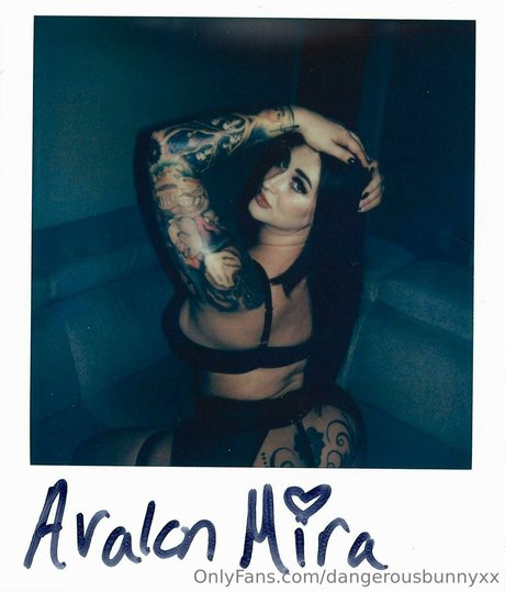 dangerousbunnyxx pornographic star images