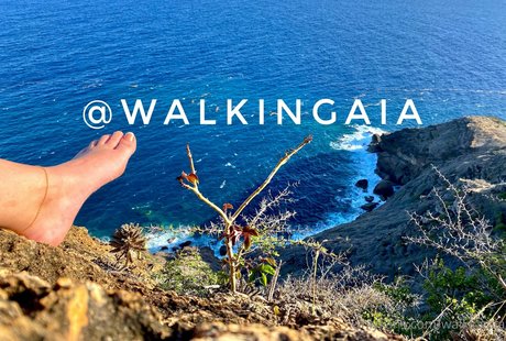 walkingaia star hd photo