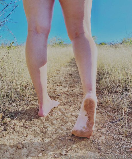 walkingaia model best archive