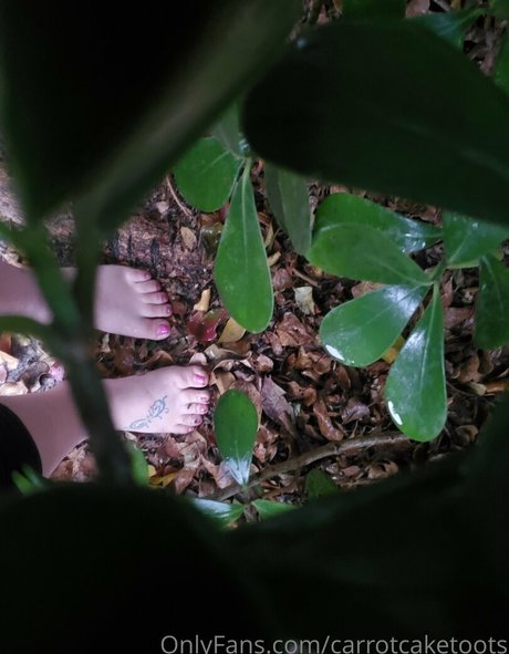 carrotcaketoots high quality model images