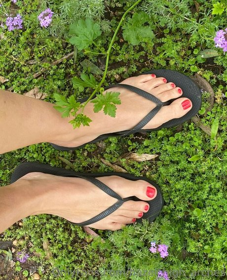 hazel high arches model beautiful galleries