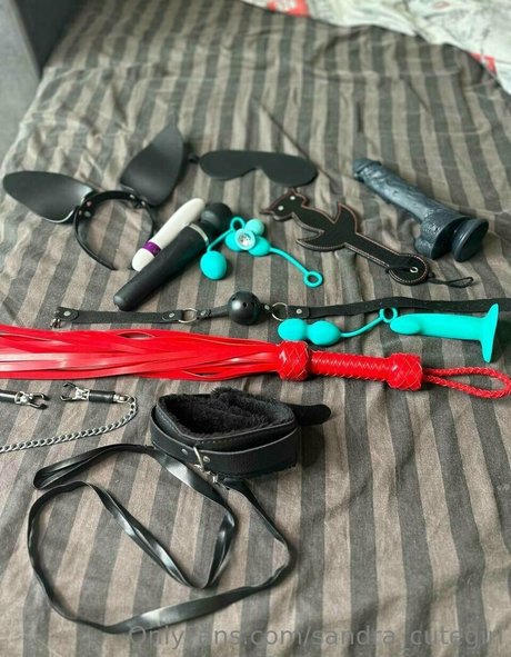 misss sandra vip erotic star pictures