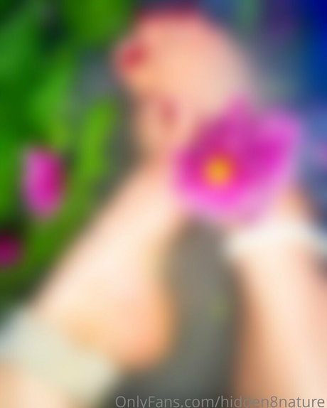 hidden8nature star beautiful photo